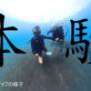 バリ島 体験ダイビング